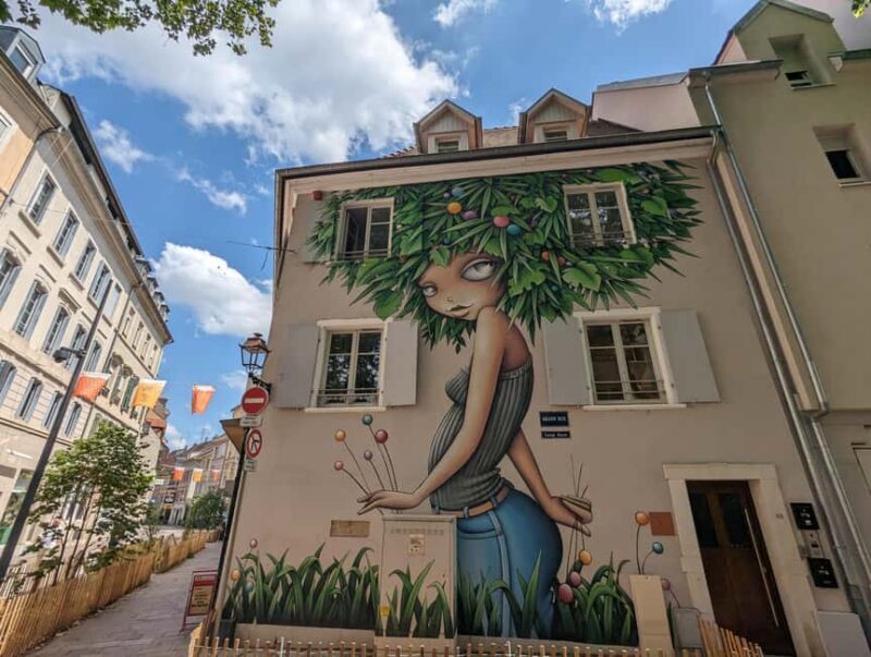 Mulhouse: Highlights Walking Tour with a local guide - Who Should Consider This Tour?
