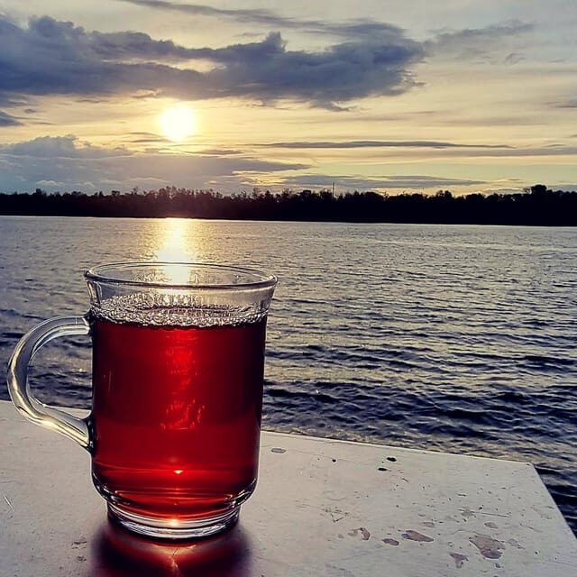 Mulled wine ride in the Leipzig New Zealand - Discovering the Charm of Lake Cospuden in Winter