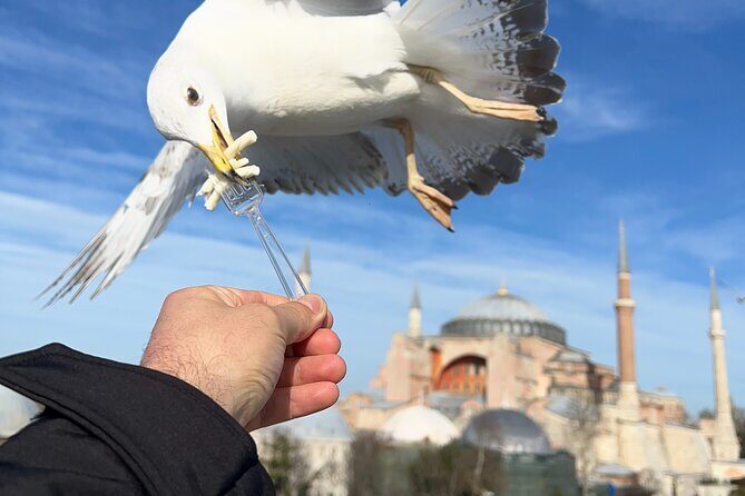 Multi 2 Days Private Guided Istanbul Iconic Landmarks City Tour - FAQ