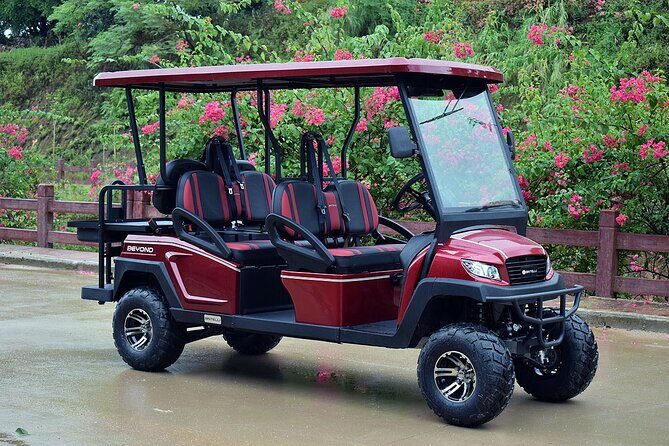 Multi Day 6 Passenger LSV Golf Cart Rental - Key Points