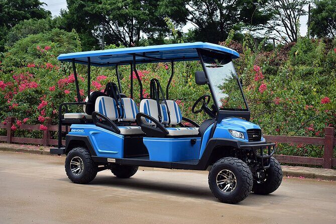 Multi Day 6 Passenger LSV Golf Cart Rental - Why Choose a Luxury Golf Cart Rental in Charleston?