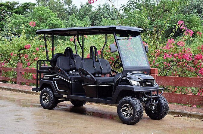 Multi Day 6 Passenger LSV Golf Cart Rental - Who Should Consider This Rental?