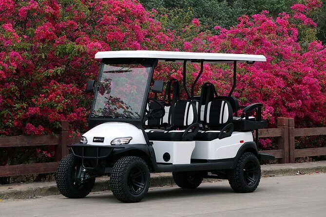Multi Day 6 Passenger LSV Golf Cart Rental - FAQs
