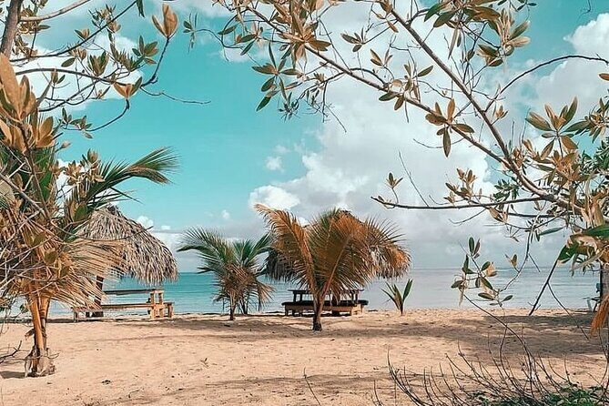 Multi-day buggy and Party Boat in Punta Cana - Frequently Asked Questions (FAQs)