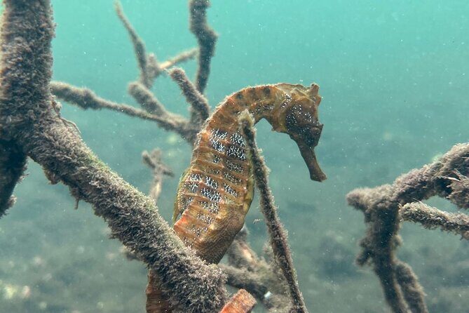 Multi Day Tour Around Galápagos Islands - In-Depth Review: What to Expect from This Galápagos Experience