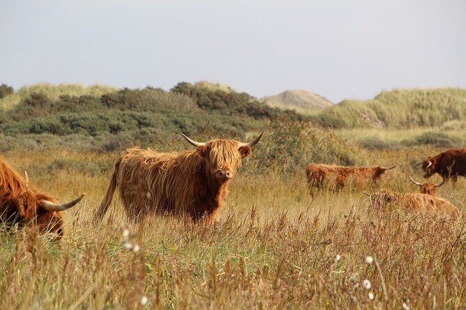Multi-Day Tour from Brighton to Edinburgh & York including Scottish Highlands - Analyzing the Value and Practicality