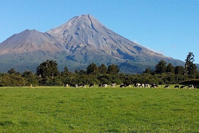 Multi Day Tour to New Plymouth and Taranaki Region from Hamilton - Final Thoughts