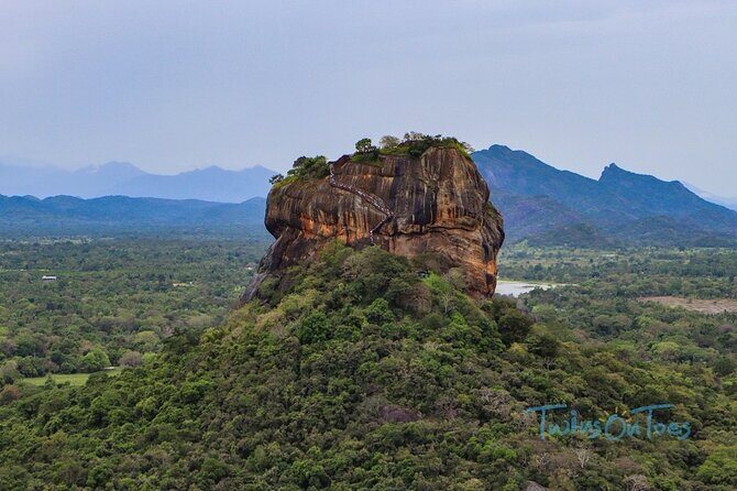 Multi Day Tour Tropical Sri Lanka A Week in Paradise - Key Points