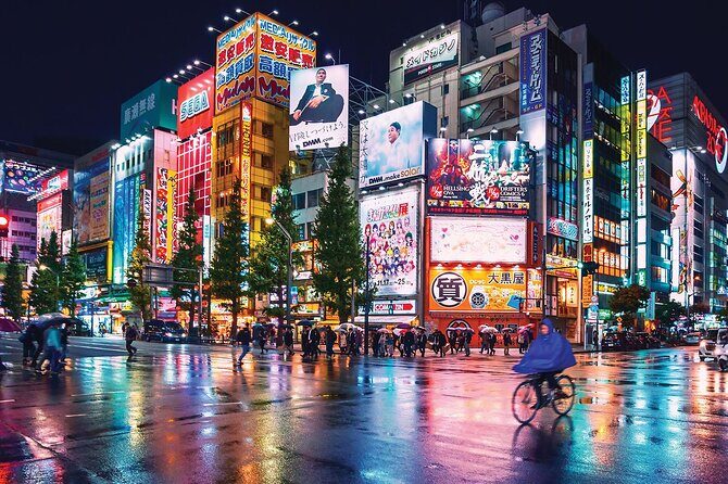 Multiple 4 day tour Tokyo Fuji Nikko Kamakura Private Tour - Who Is This Tour Best For?