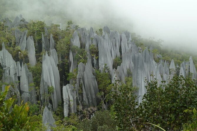 Mulu Headhunter's Trail - 3 Days Trekking & Cultural Experience - FAQs