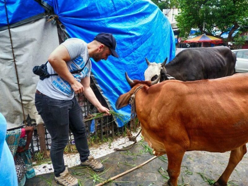 Mumbai: Guided City Sightseeing Tour - Key Points