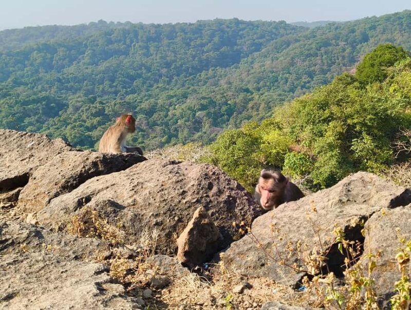 Mumbai Kanheri Caves & Golden Pagoda  A Buddhist Settlement - The Bottom Line
