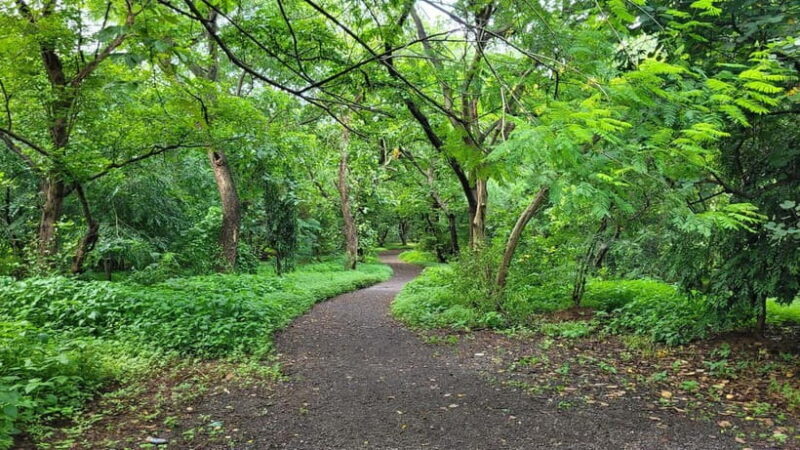 Mumbai: Maharashtra Nature Park Guided Nature Trail - Key Points