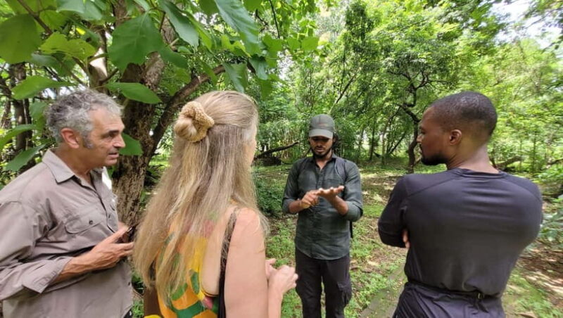 Mumbai: Maharashtra Nature Park Guided Nature Trail - Exploring Mumbai’s Green Heart: Maharashtra Nature Park Guided Trail