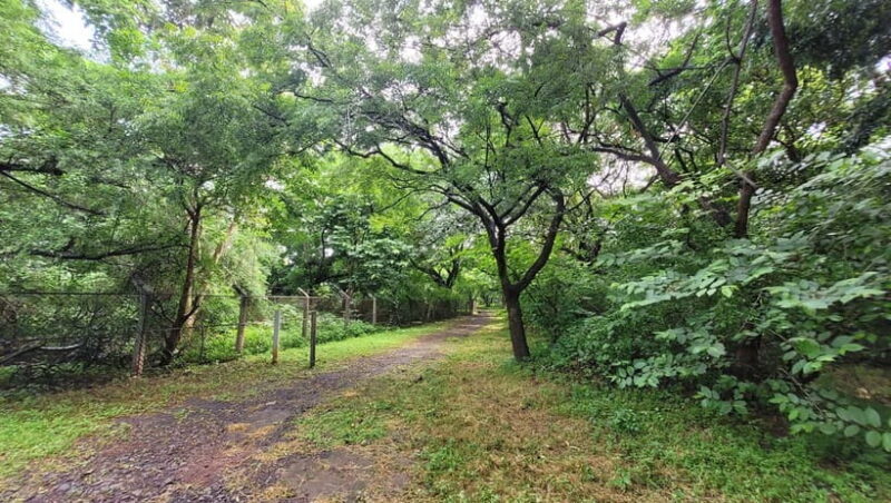 Mumbai: Maharashtra Nature Park Guided Nature Trail - Final Thoughts