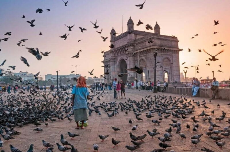 Mumbai Marvels Tour | 4 Hour Private City Tour with Guide - Who Should Consider This Tour?