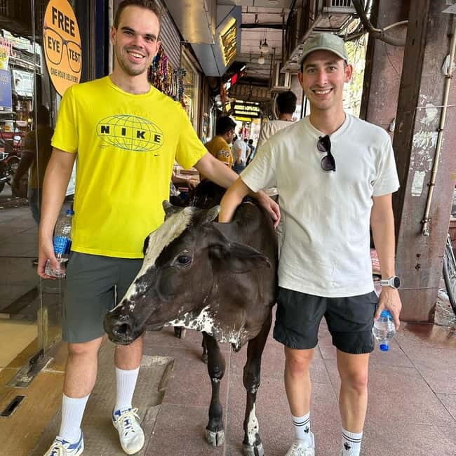 Mumbai: Private Sightseeing Tour & Slum Tour with a Local - Is This Tour Right for You?