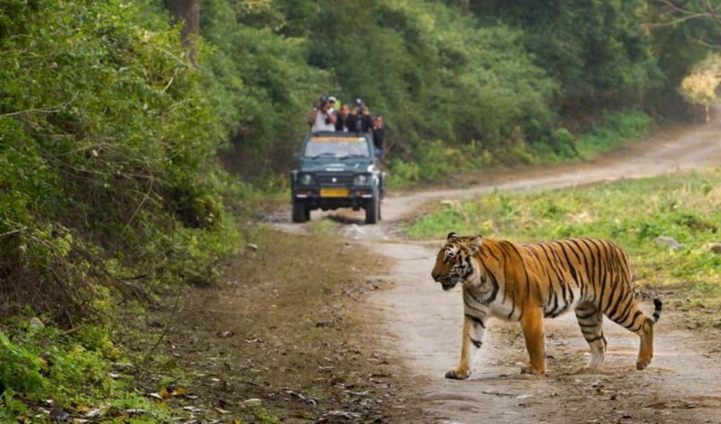 Mumbai to Jim Corbett: 2-Day Safari Adventure via Delhi - The Journey Begins: From Mumbai to Jim Corbett