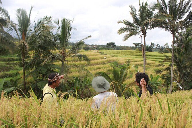 Munduk Private Customized Highlights Tour - A Detailed Look at the North Bali Highlights Tour