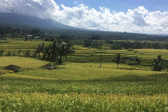 Munduk Sunrise Jeep Tour to Twin Lake and Hidden Waterfall - Authentic Experiences and Local Knowledge