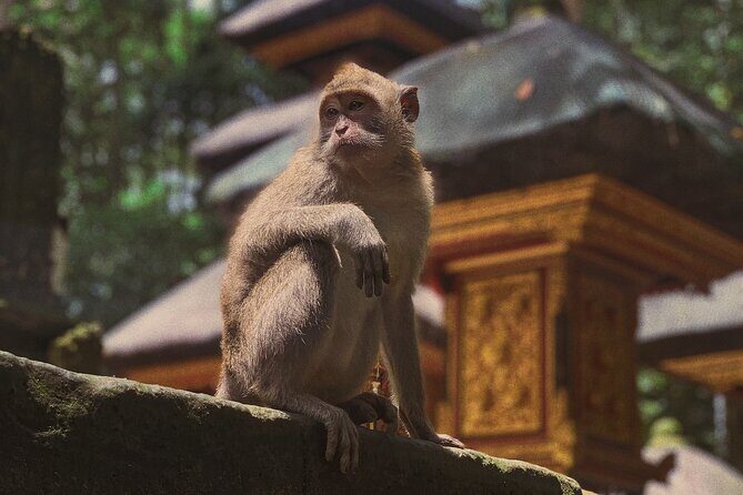 Munduk: Tamblingan jungle trek, waterfall, Ulun Danu temple - A Deep Dive into the Experience