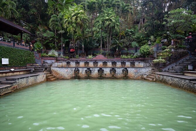 Munduk Waterfall Dolphin and Snorkeling Tour - Key Points