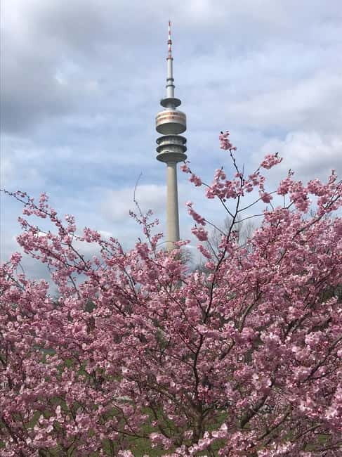 Munich: Bulli Tour - Who Will Love This Tour?