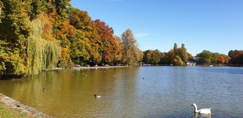 Munich: City Highlights Guided Segway Tour - The Experience: Pros and Cons