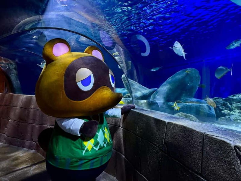 Munich: Day Ticket to Sea Life - What to Expect from the Experience