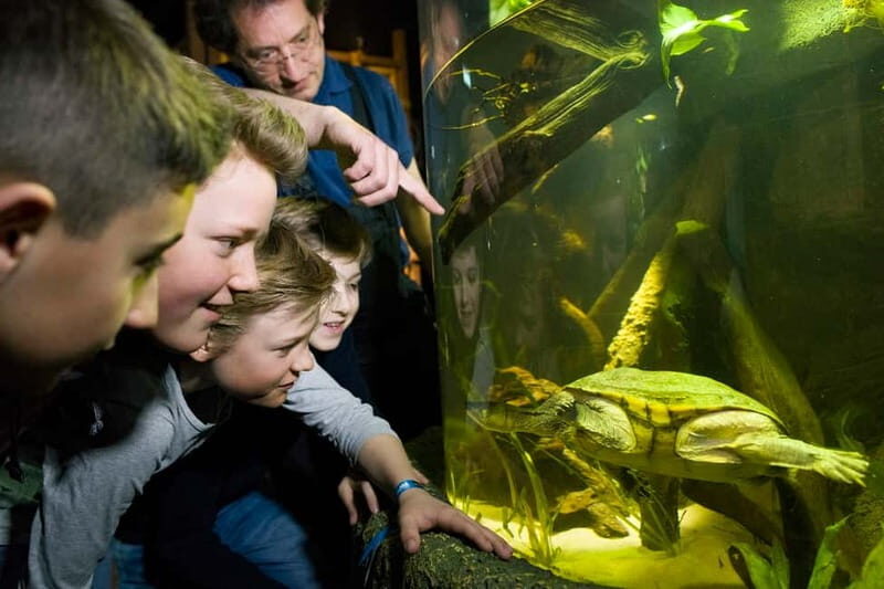 Munich: Day Ticket to Sea Life - Feeding Shows and Educational Opportunities