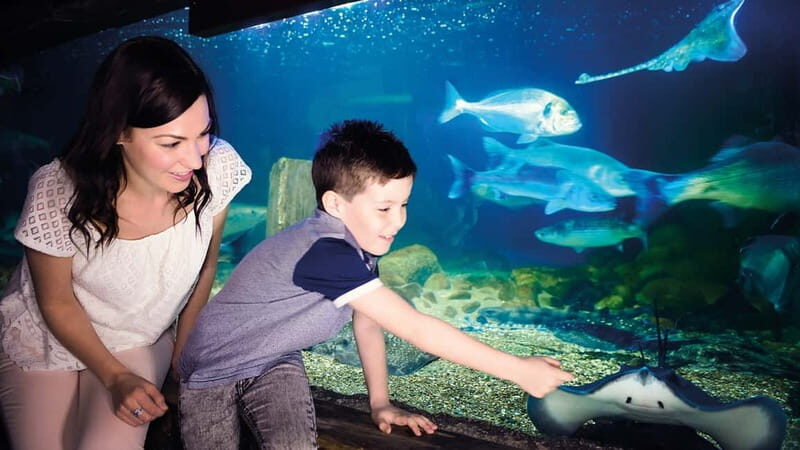 Munich: Day Ticket to Sea Life - Practical Details: Access, Duration, and Comfort