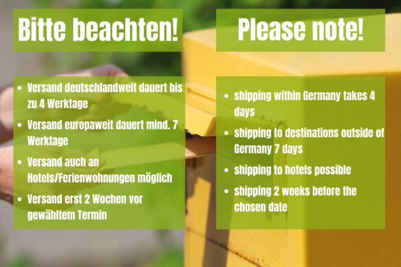 Munich: Scavenger Hunt Self-Guided Tour - Key Points