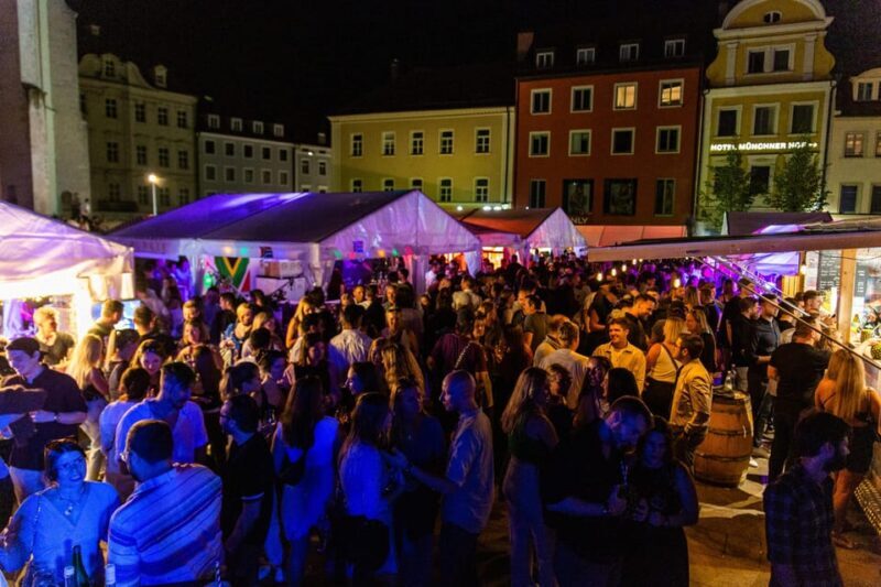 Munich:REGENSBURG MEDIEVAL BEAUTY-PRIVATE GUIDED TOUR BY CAR - The Sum Up