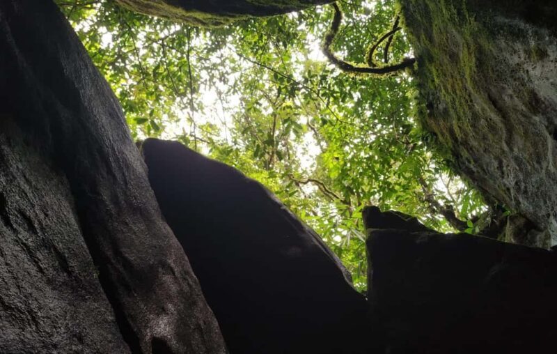 Munnar: Anakulam Jeep Safari to Explore Wild Elephants - Key Points