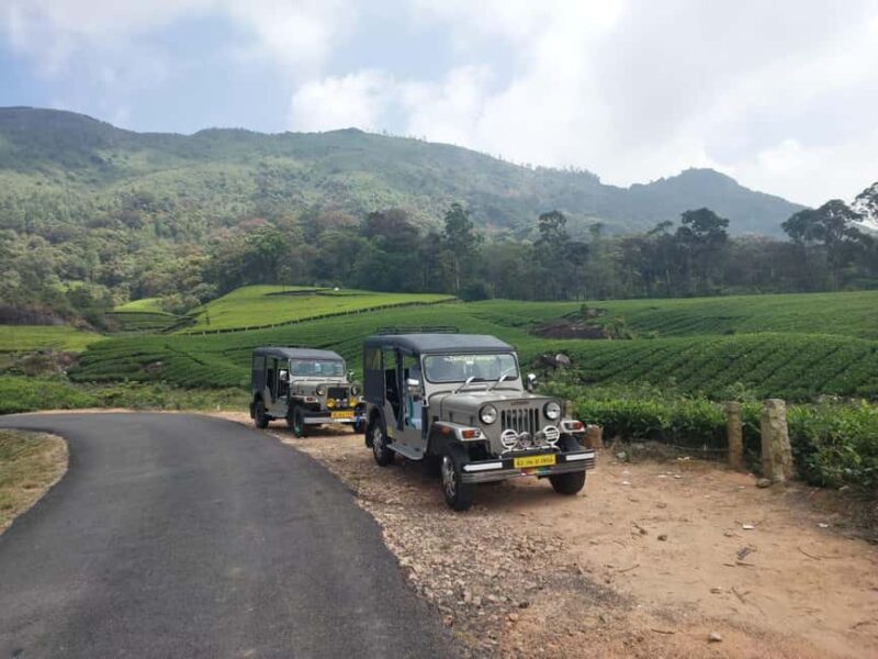 Munnar: Anakulam Jeep Safari with Waterfall and Elephant - Authentic Experiences from Travelers