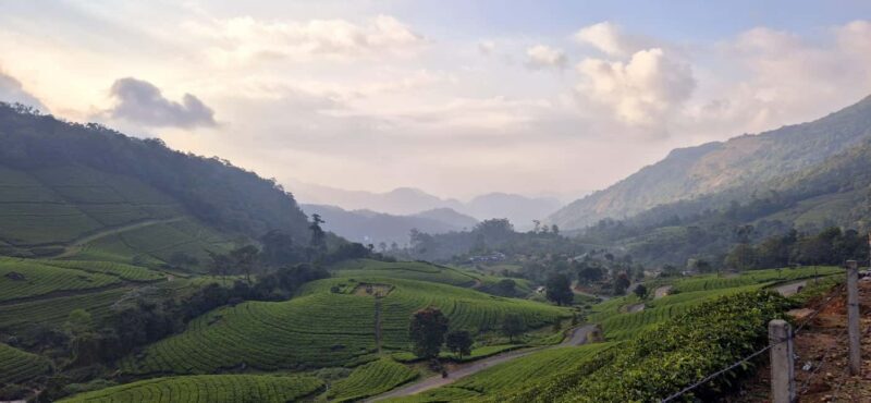 Munnar: Anakulam Jeep Safari with Waterfall and Elephant - The Value of the Tour