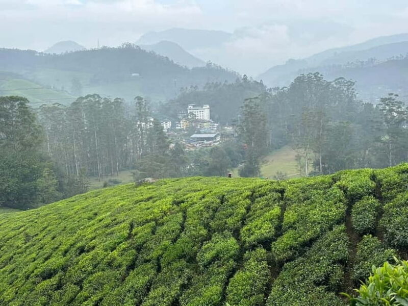 Munnar: Chokramudi Peak Full-Day Trekking Tour - FAQs