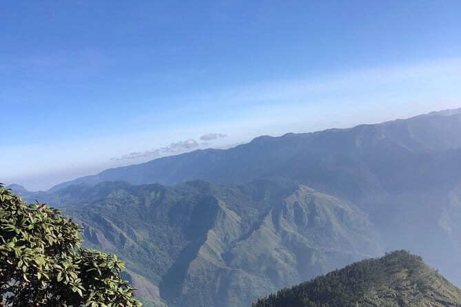 Munnar Daily Tour - What to Expect from the Munnar Daily Tour