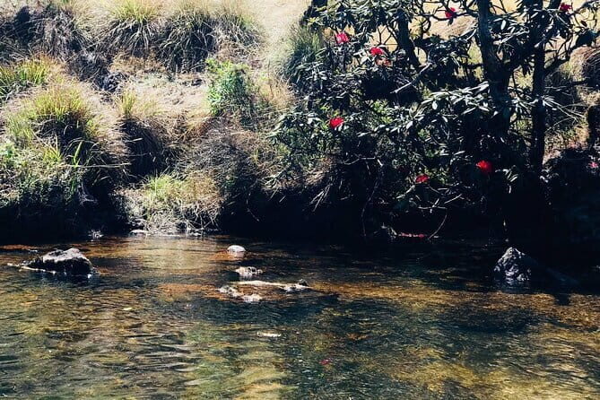 Munnar Daily Tour - Practical Tips for Travelers