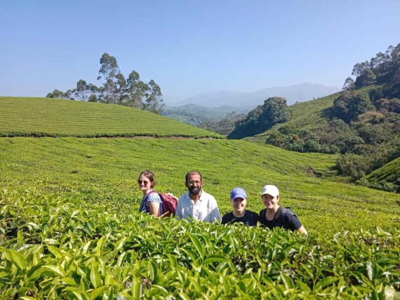 Munnar: Half day Guided Trek - Key Points