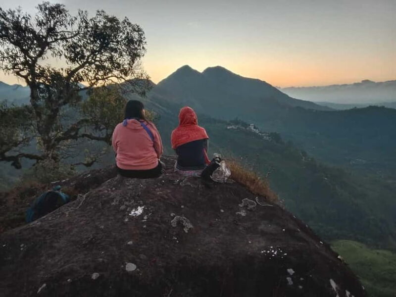 Munnar: Half day Guided Trek - An In-Depth Look at the Guided Trek in Munnar