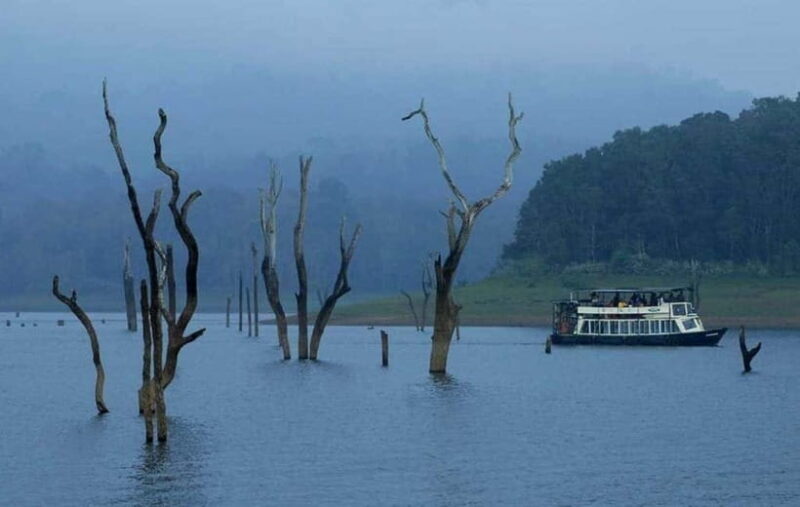 Munnar Hill Station with Periyar Wildlife Tour (03 Days) - FAQ: Practical Questions About the Tour