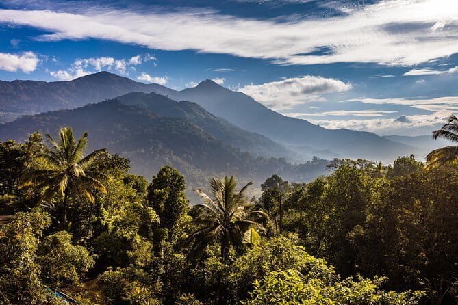 Munnar historical trail- (walk into Tea garden, village & market) - A Journey into Munnar’s Green Heart