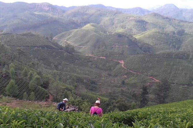 Munnar historical trail- (walk into Tea garden, village & market) - Frequently Asked Questions