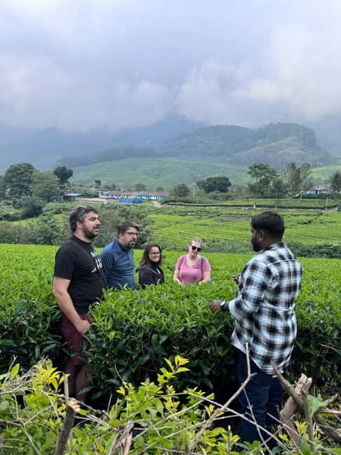 Munnar: Kolukkumalai Tea Plantation Jeep Tour - Key Points