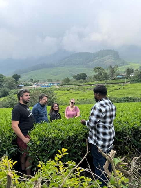 Munnar: Kolukkumalai Tea Plantation Jeep Tour - Watching the Sunrise: An Unparalleled View