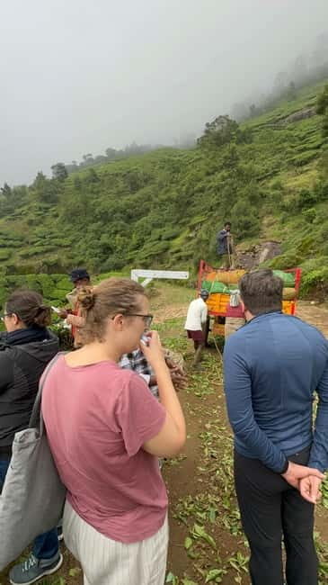 Munnar: Kolukkumalai Tea Plantation Jeep Tour - Additional Stops: Waterfalls and Scenic Drives