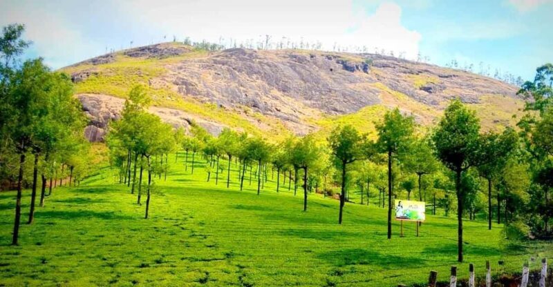 Munnar: Local Highlights Day Tour with Top station Visit - A Deep Dive into the Munnar Experience