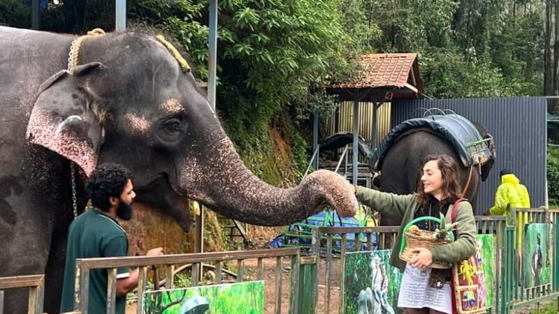 Munnar: Local Highlights Day Tour with Top station Visit - Final Thoughts: Who Will Love This Tour?