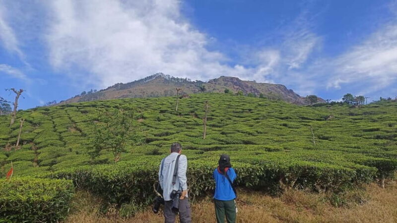Munnar Nature Walk - Key Points